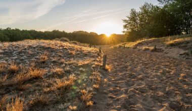 Badesee mit Sylt-Feeling in den Boberger Dünen