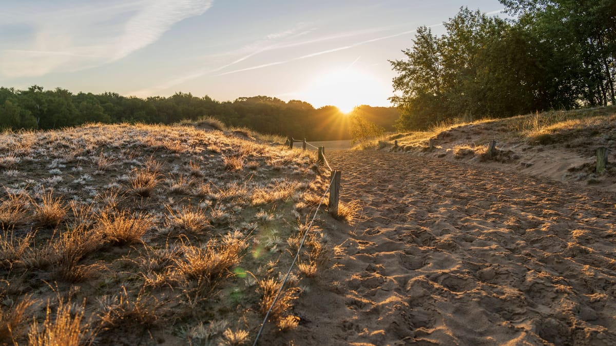 Badesee mit Sylt-Feeling in den Boberger Dünen