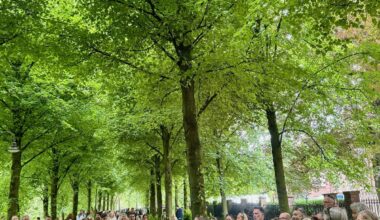 Münster: Viel los am Wochenende