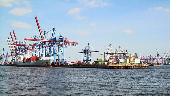 Blick von der Elbe auf die Hafenanlagen am Burchardkai. © Kathrin Weber Foto: Kathrin Weber