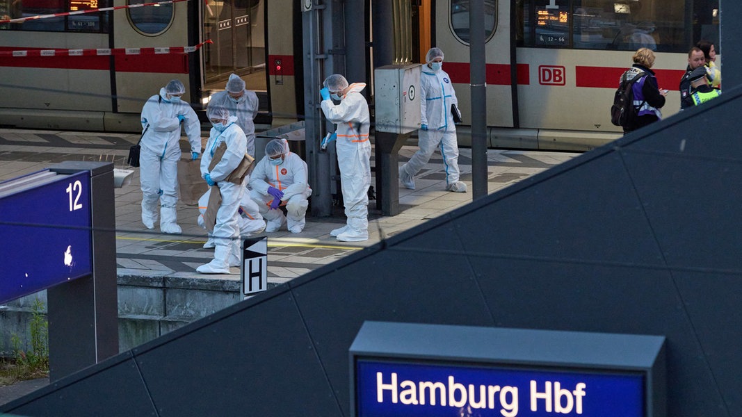 Messerattacke am Hauptbahnhof Hamburg: Verdächtige kommt in Psychiatrie | NDR.de - Nachrichten