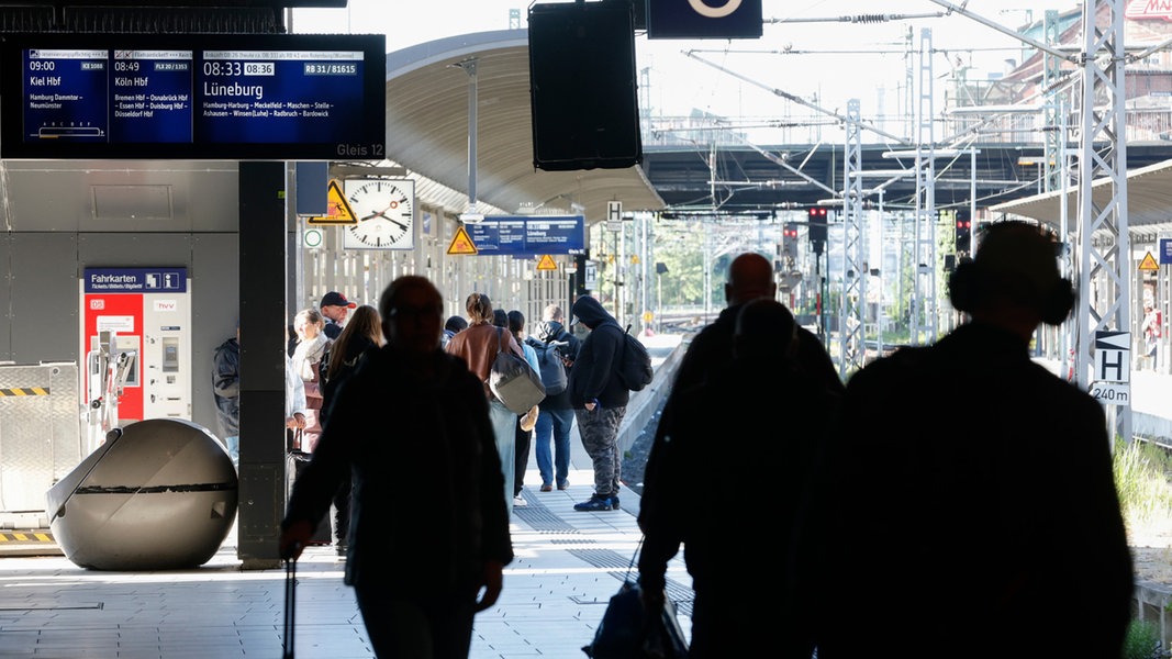 Messerattacke am Hauptbahnhof Hamburg: Verdächtige war polizeibekannt | NDR.de - Nachrichten