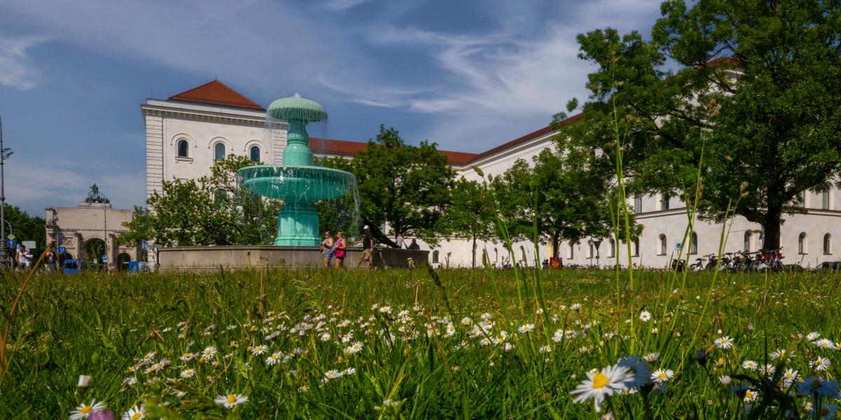Großer Erfolg der LMU: Sieben Exzellenzcluster bewilli …