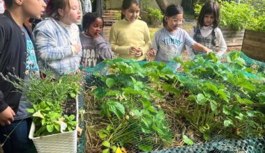 Lions-Club Essen fördert die Hüttmannschule mit Gartenprojekt