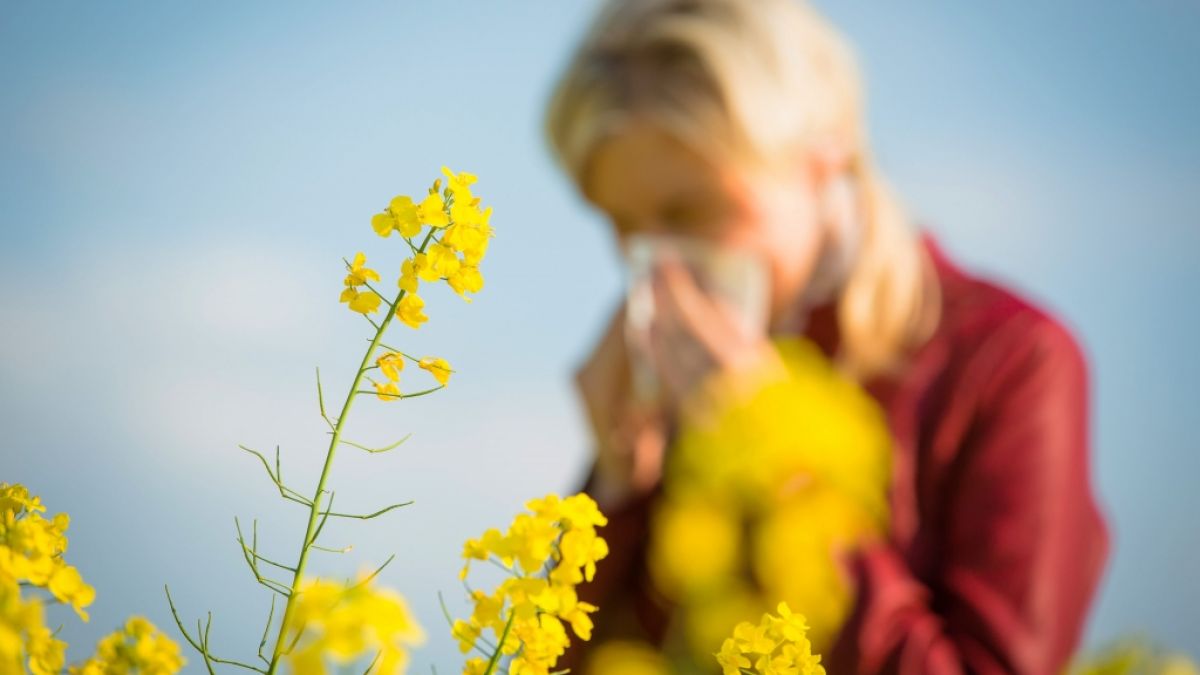 Biowetter in Gelsenkirchen heute: Pollenflug und Wetter-Beschwerden am Sonntag im Überblick