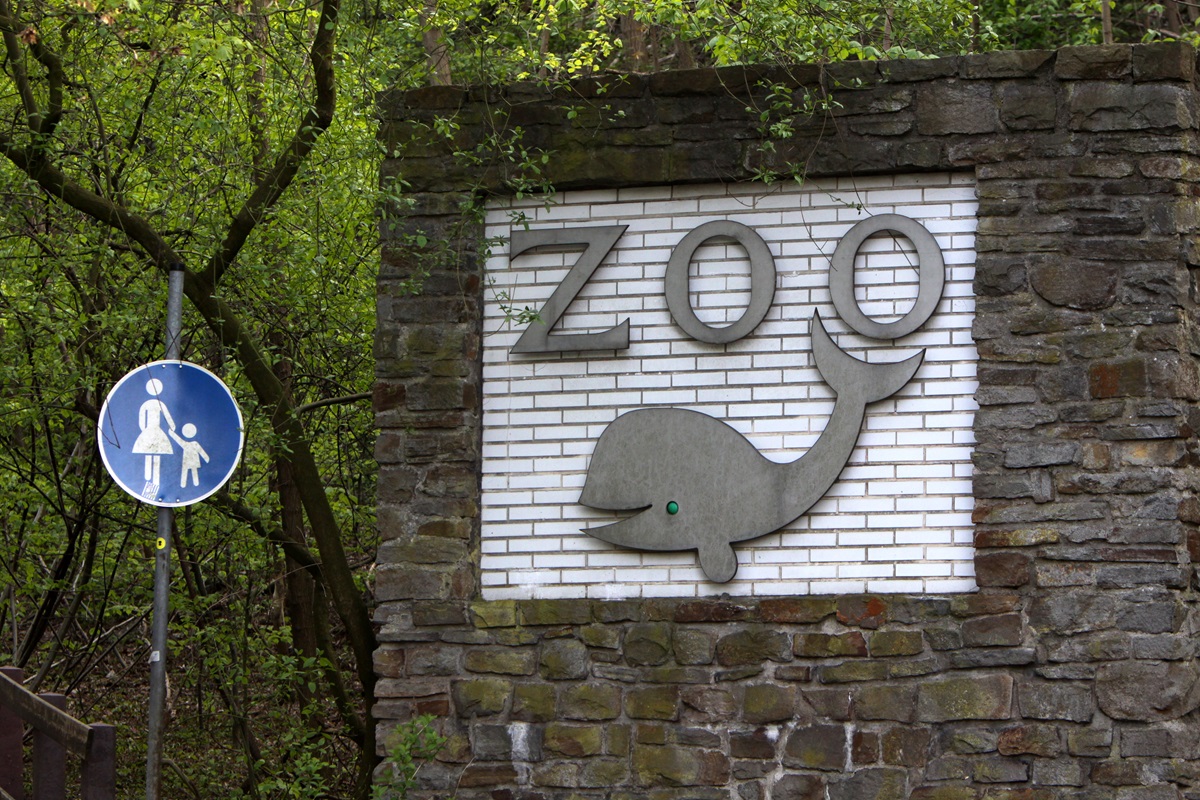 Zoo Duisburg: Jetzt sehen es alle – Besucher halten sich nicht zurück