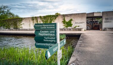 Tierheim Berlin macht es öffentlich – "Für immer Bye Bye"