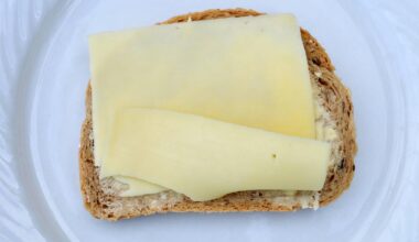 Schon wieder verdorbenes Essen bei der Berliner Polizei
