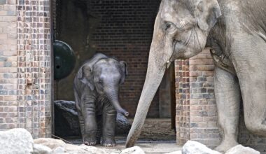 Zoo Leipzig: Zoff hinter den Kulissen! Pfleger fassen drastischen Entschluss