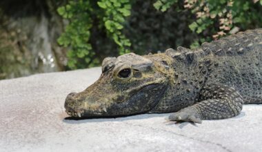 Zoo Leipzig: Hinter den Kulissen passiert es! "Selbst das hat funktioniert"
