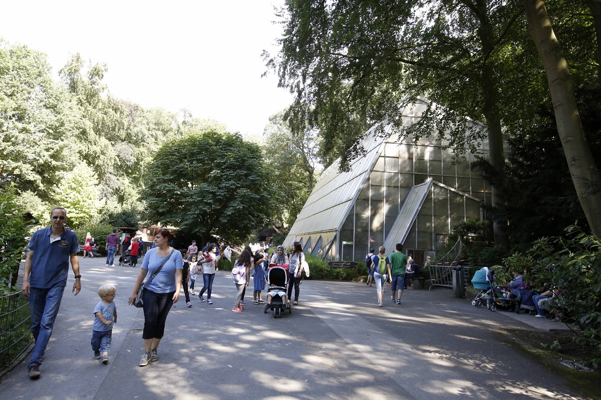 "Blinder Passagier" im Zoo Dortmund - Pfleger entdecken ihn