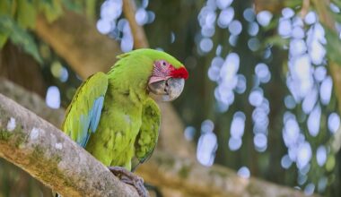Zoo Leipzig: Nach 100 Jahren ist Schluss! Pfleger vor ungeahnter Hürde