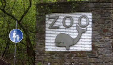 Zoo Duisburg: Tier will Nachwuchs loswerden - Pfleger haben keine Wahl