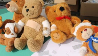 Kuscheltiere werden in Münster verarztet