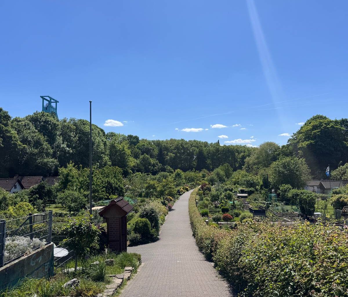 Kleingärten in Bochum immer beliebter