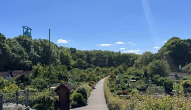 Kleingärten in Bochum immer beliebter