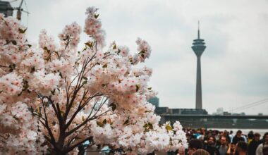 Fällt der Japan-Tag ins Wasser? Das sind die Aussichten!