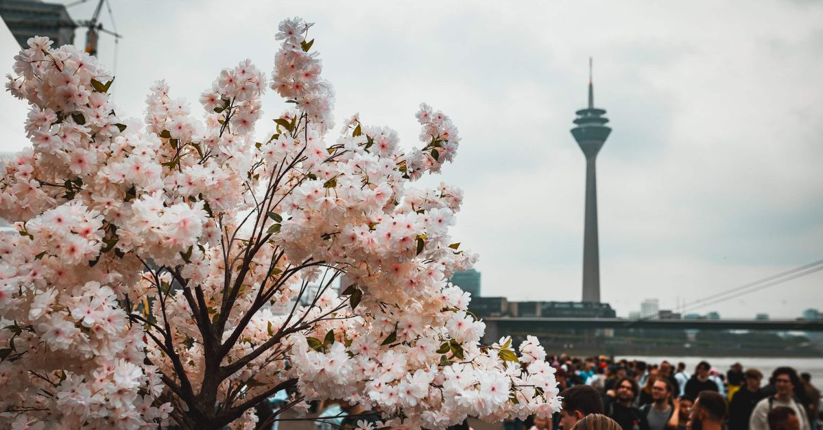 Fällt der Japan-Tag ins Wasser? Das sind die Aussichten!
