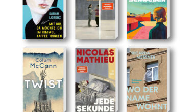 Die besten Bücher im Mai 2025: Buchcover von Sarah Lorenz, Amira Ben Saoud, Nicolas Mathieu, Colum McCann, Ricarda Messner, Yasmina Reza
