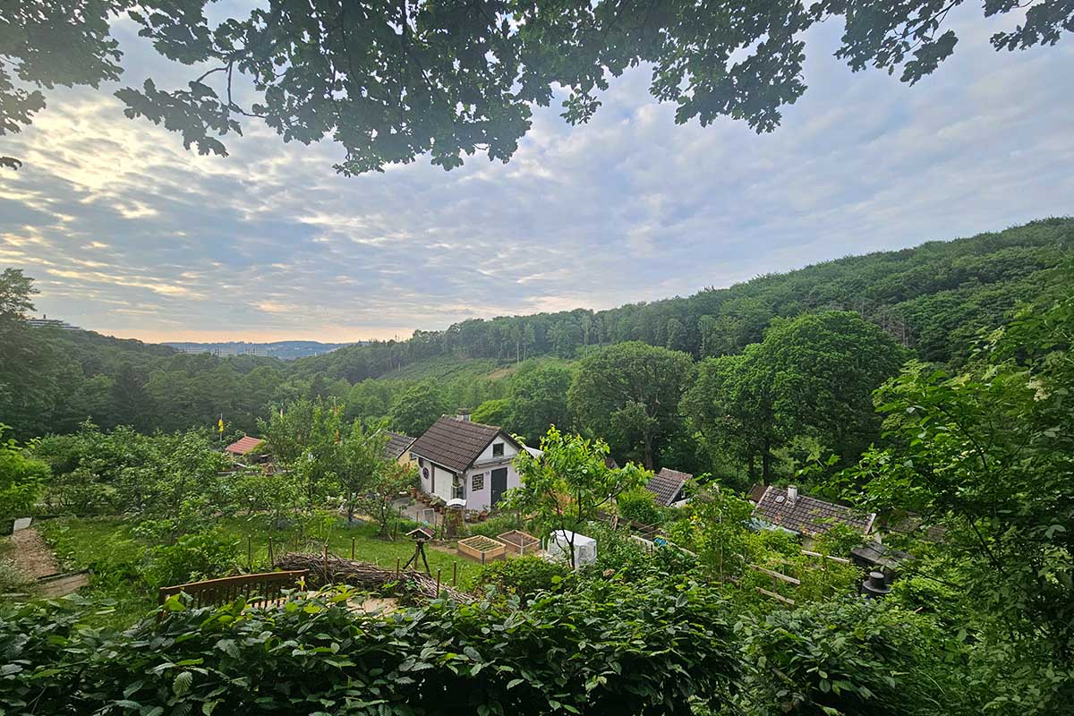 "Grüne Pause vom Lernstress": Kleingärtnerverein Böhlerfeld lädt Studierende zum Mitgärtnern ein - blickfeld