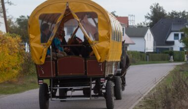 Pferd ergreift die Flucht: Kutsche überrollt drei Menschen | NDR.de - Nachrichten - Niedersachsen