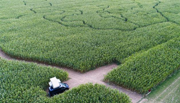 Landvergnügen ermöglicht das Campen bei Landwirten.