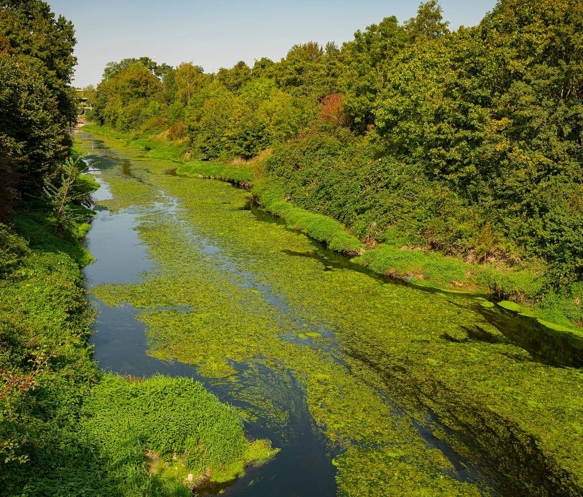 Dortmund: Mähboot in der Emscher