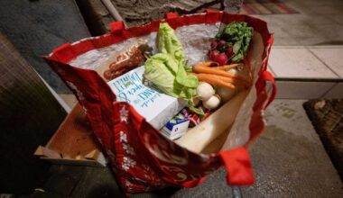 Lebensmittellogistik: Essen retten – Berlin will Hürden für Spenden beseitigen - Lebensmittellogistik | News | LOGISTIK HEUTE