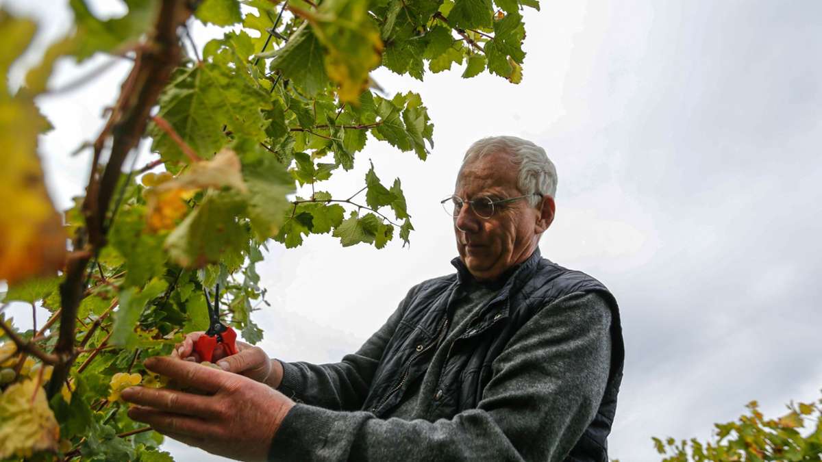 Wozu Champagner?: Großartiger Sekt aus Stuttgart