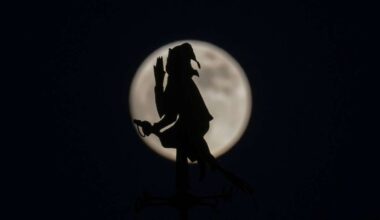 Der fast vollständige Mond steht hinter einer Wetterfahne in Form von einer auf einem Besen reitenden Hexe.