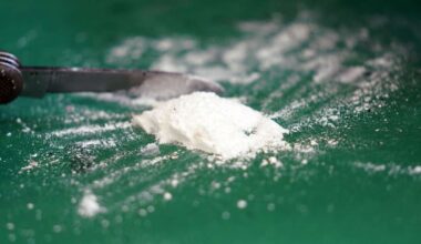 Im Stuttgarter Stadtgebiet: Drei mutmaßliche Kokain-Dealer festgenommen