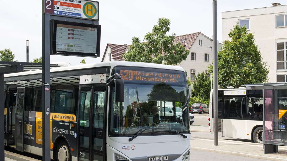 Streit in Ditzingen: „Das kann doch nicht sein!“
