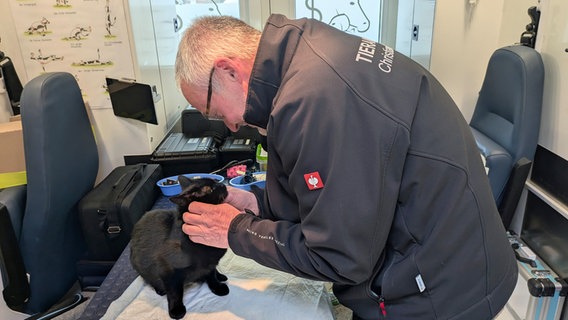 Ein Mann hält den Kopf einer schwarzen Katze © NDR/ Carolin Beyer 