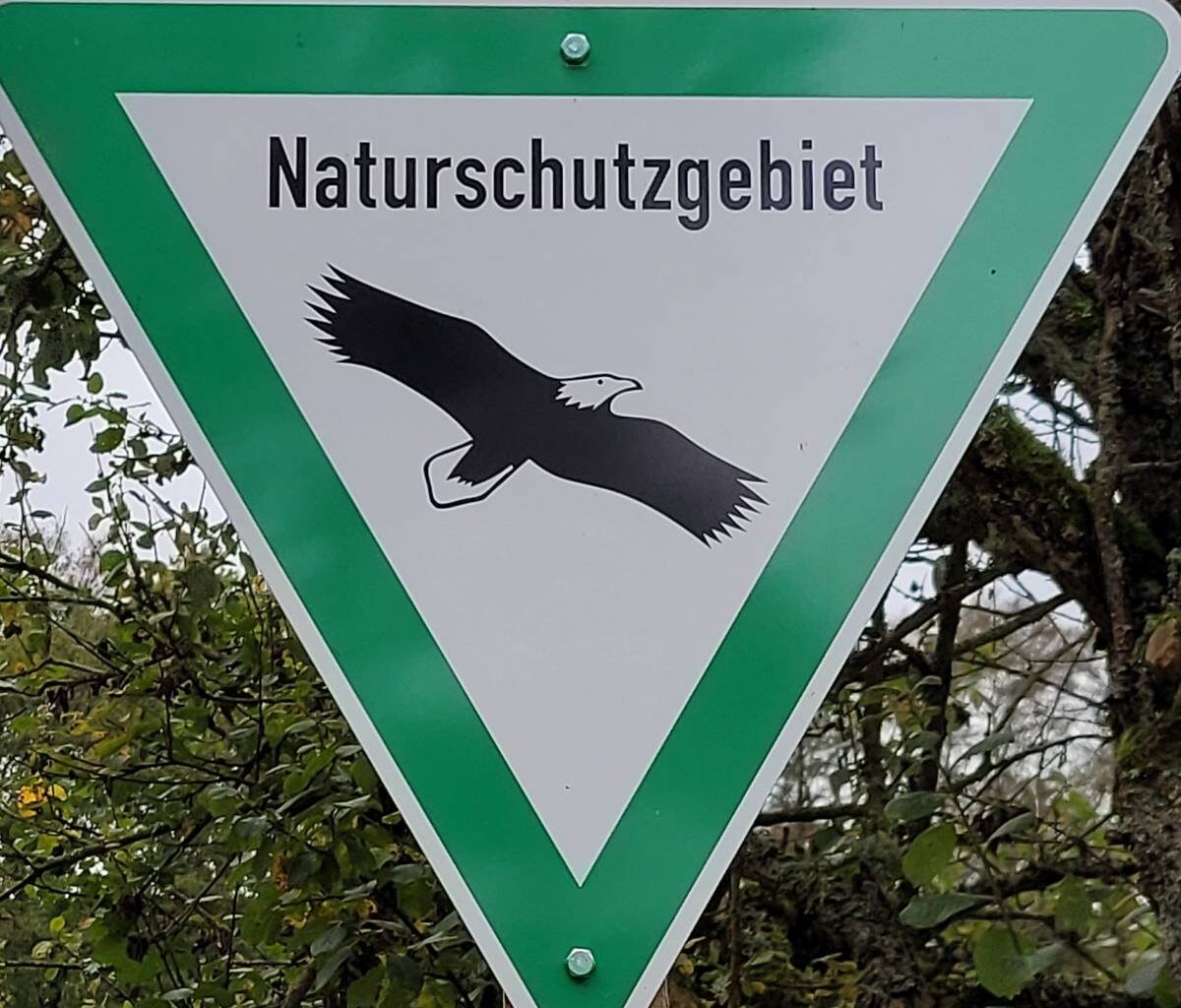 Festivals im Jugendpark dürfen stattfinden