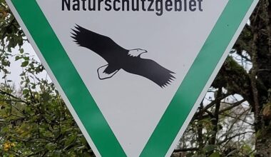 Festivals im Jugendpark dürfen stattfinden