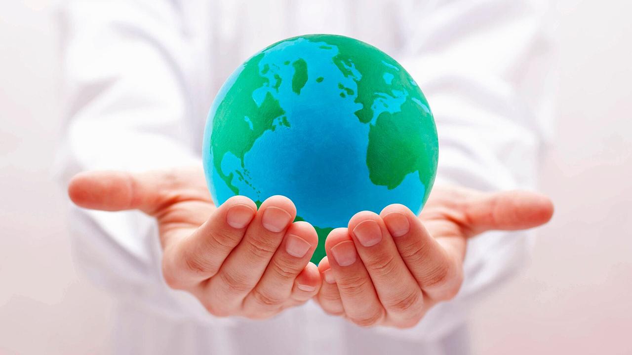 Niedersachsen: Neun Millionen Euro für Klimaschutz-Projekte im Raum Braunschweig