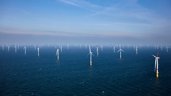 Offshore-Windparks "Hohe See" und "Albatros" vom Energiekonzern EnBW in der Nordsee © EnBW 