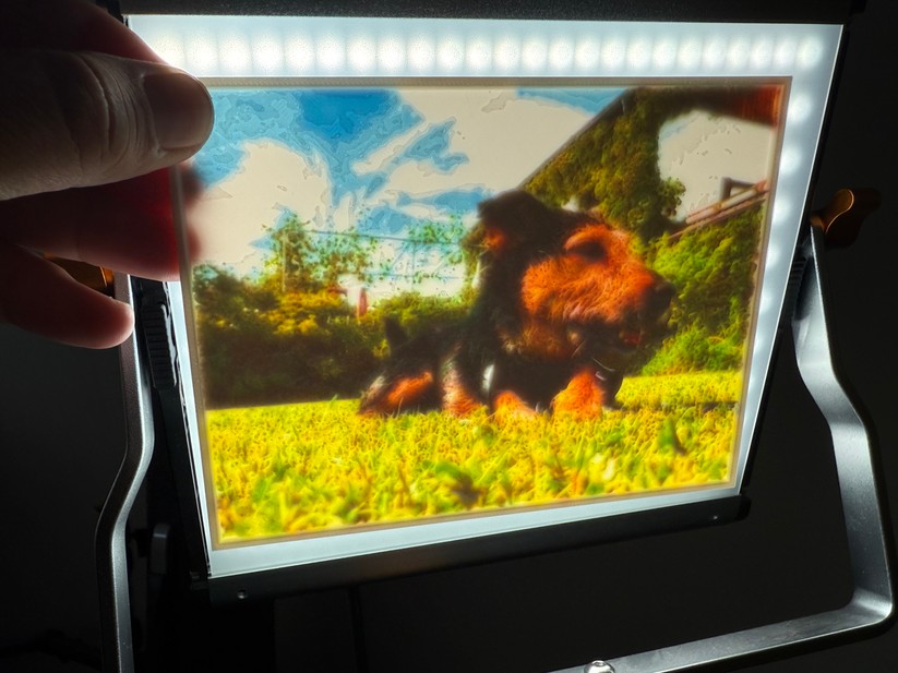 Wird es durchleuchtet, taucht ein Foto auf. Die Farben hat der H2D aus kleinen PLA-Punkten zusammengemischt. 