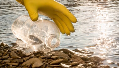 Wie mit Hilfe von Methan und CO₂ der Plastikverschmutzung begegnet werden kann · Leipziger Zeitung