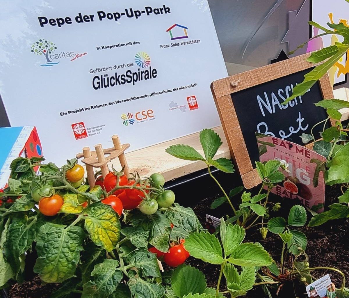 Pop-Up Park in Essen: Stadtteile sollen schöner werden