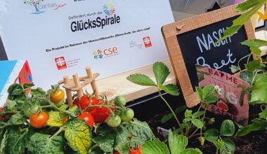 Pop-Up Park in Essen: Stadtteile sollen schöner werden