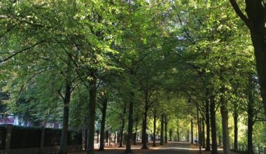 Promenade wird zur Open-Air-Bühne - Antenne Münster