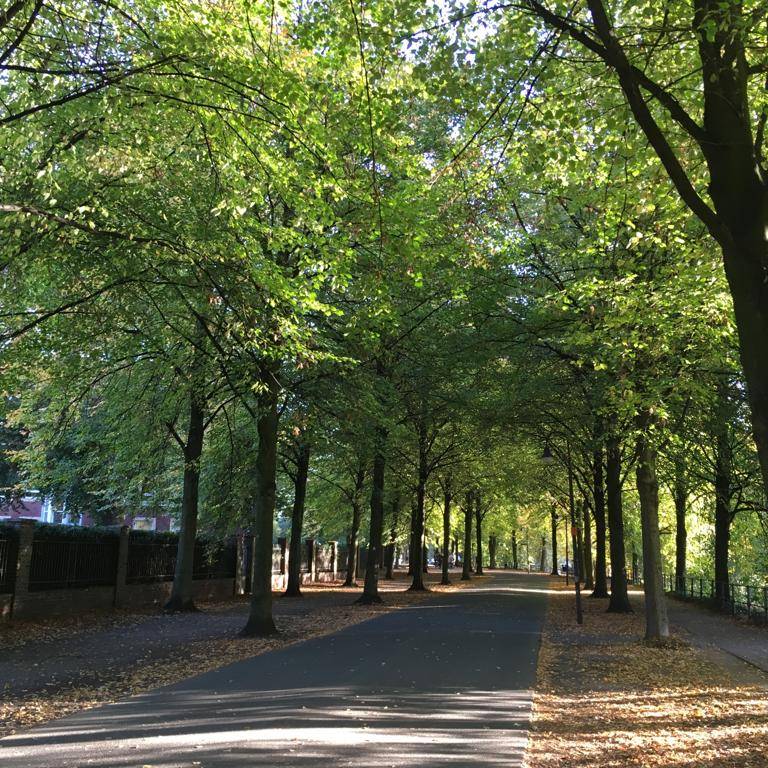 Promenade wird zur Open-Air-Bühne - Antenne Münster