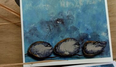 Buch-Debüt von Marie Erlenmaier gecheckt