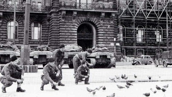Britische Soldaten füttern 1945 vor dem Hamburger Rathaus Tauben.. © picture-alliance/ dpa/dpaweb Foto: Imperial War Museum