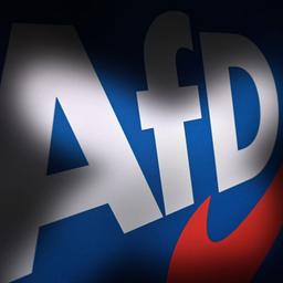 Themenbild AfD. (Quelle: dpa/Simon)