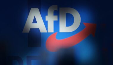 AfD in Brandenburg als gesichert rechtsextremistisch eingestuft