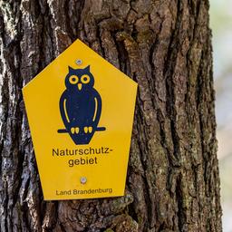 Eine Naturschutzschild ist am 27.04.2021 an einem Baum in einem Naturschutzgebiet am Kleinsee bei Tauer in Brandenburg angebracht. (Quelle: Picture Alliance/Andreas Franke)
