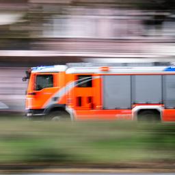 Ein Wagen der Feuerwehr Berlin fährt hinter Bäumen. (Quelle: Picture Alliance/Sebastian Gollnow)