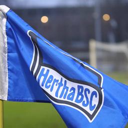 Flagge von Hertha BSC im Amateurstadion (Quelle: IMAGO / Picture Point)